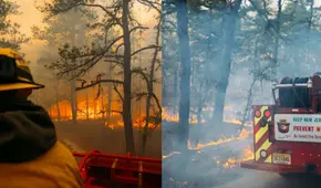 Estado de emergencia en Carolina del Norte y del Sur por incendios forestales: autoridades ordenaron evacuaciones