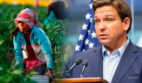 Controversial ley de DeSantis pretende aliviar escasez de trabajadores migrantes en Florida utilizando mano de obra infantil Controversial ley de DeSantis pretende aliviar escasez de trabajadores migrantes en Florida utilizando mano de obra infantil