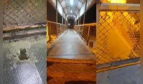 Vecinos de Lurín alertan sobre puente peatonal con grietas y barandas rotas: "Puede suceder una desgracia"