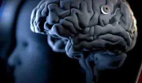 Neurocientíficos desarrollan un traductor digital que cambia la forma de entender el cerebro humano