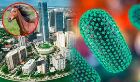 Alerta de rabia en Florida: Miami-Dade lanza advertencia luego de que un caballo diera positivo, según las autoridades
