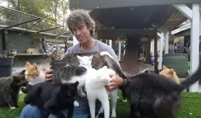 Muere dueño de 'Santuario Happy Cat' en incendio en Medford, Nueva York: "Dio su vida para salvar a estos gatos"