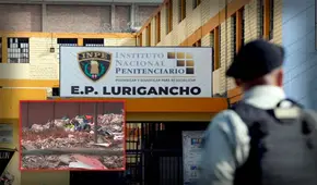 Denuncian plaga de insectos y fuertes olores en Penal de Lurigancho: vecinos señalan proliferación de moscas
