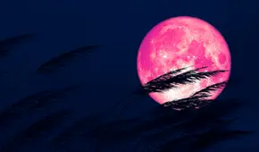 ¿Cuándo ver la Luna rosa de abril 2025 que marca el inicio simbólico de la primavera?