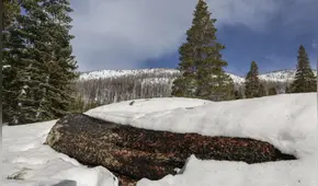 La nieve cubre California: un invierno récord que no se veía en 25 años y trae esperanza tras la sequía.