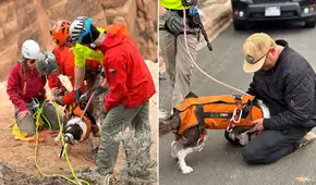 Rescate heroico: perro sobrevive a caída de 30 metros en un cañón del Monumento Nacional de Colorado Rescate heroico: perro sobrevive a caída de 30 metros en un cañón del Monumento Nacional de Colorado