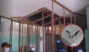 Videos muestran cómo los techos de la UNALM están a punto de colapsar: "Literalmente se está cayendo"