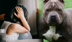 Niña atacada por pitbulls se salvó de morir en EEUU: se quedó casi sin orejas y posee graves lesiones