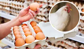 Buenas noticias, Estados Unidos: el precio de los huevos baja en Pensilvania este 2025