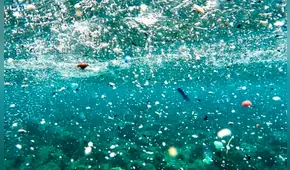 Geólogos marinos advierten que avalanchas submarinas transportan microplásticos, según nuevo estudio científico