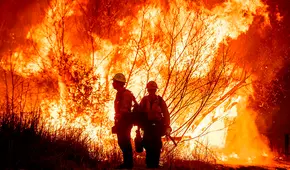 ¡Atención, residentes de Florida! Funcionarios advierten sobre temporada crítica de incendios forestales y piden tomar precauciones