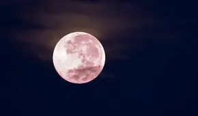 La luna se "teñirá de rosa" este fin de semana: ¿a qué hora ver la luna rosa de abril?
