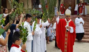 ¿Por qué se usan las palmas en Domingo de Ramos, día de inicio de la Semana Santa?