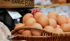 ¡Buenas noticias para consumidores de huevos en EEUU! Expertos brindan fecha estimada en la que precios bajarían