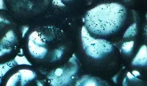 Científicos descubren por accidente un tipo de líquido automoldeable y que puede reconstruir su forma