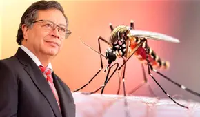Petro decretará emergencia sanitaria y económica por brote de fiebre amarilla en Colombia: al menos 20 muertos en el país por el virus en 2025