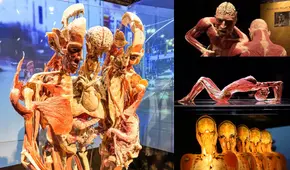 Body Worlds, la exposición con cadáveres reales que desata polémica por mostrar posibles cuerpos de desaparecidos