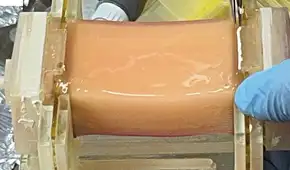 Científicos de Japón crean carne de pollo en laboratorio con una técnica inspirada en el cuerpo humano Científicos de Japón crean carne de pollo en laboratorio con una técnica inspirada en el cuerpo humano