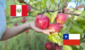 Manzanas chilenas vuelven al Perú tras suspensión de importaciones: Gobierno de Chile califica acuerdo como un hito en la relación comercial