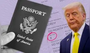 Duro golpe a Donald Trump: jueza ordena proporcionar pasaportes a personas transgénero y no binarias en EEUU