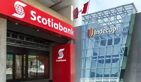 Peruano gana batalla legal a Scotiabank y logra registrar su marca 'Instacash': Indecopi consideró que “son parecidos, pero no confundibles”