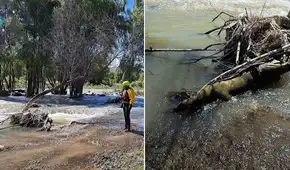 Joven fue reportada como desaparecida en Arequipa y 14 días después hallan su cuerpo en el río Chili