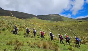 Los Palmeros de Bolívar: la tradición de caminar descalzos entre montañas y selva en Semana Santa