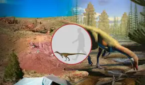 Hallazgo fósil pone en debate el origen de los dinosaurios: científicos encuentran el más antiguo de Laurasia y tenía el tamaño de un pollo