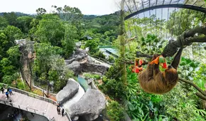 No está en Estados Unidos: el zoológico más grande del mundo reúne a 2530 animales y necesitas 3 horas para visitarlo