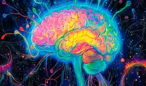 Avance en neurociencia: descubren una pequeña estructura del cerebro que revela nuevas vías para tratar la adicción y la depresión