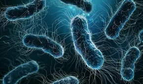 La inteligencia artificial logra en dos días lo que a la ciencia le llevó 10 años: revela el misterio de las superbacterias