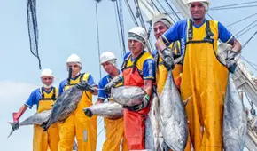 PBI pesquero del Perú creció 29,1% en marzo de 2025 y encadena tres meses de crecimiento, según PRODUCE