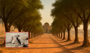 Arqueólogos descubren en el Sinaí un camino de 2.000 años rodeado de 500 árboles que conduce a una fortaleza egipcia perdida: "Revela el alcance del poder egipcio en el desierto"