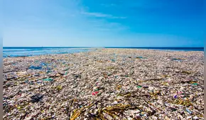 La 'isla de plástico' que triplica en tamaño a Francia y recibe el nombre de 'séptimo continente' en medio del océano Pacífico