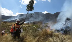 Adulto mayor fallece en incendio forestal en Cusco: es la primera víctima del siniestro de gran magnitud
