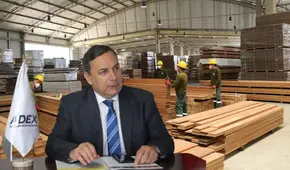 Exportaciones forestales peruanas cayeron en 2024 a su nivel más bajo desde pandemia