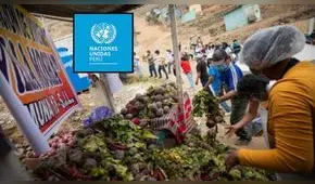 Inseguridad alimentaria: Perú recuperó 8.000 toneladas de alimentos con ayuda de la ONU en el 2024