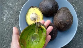 ¿Qué tiene la cáscara de palta y por qué se dice que es un tesoro? Estas son las razones
