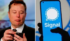¿Qué es Signal, la app de mensajería que recomienda Elon Musk? Es considerada más segura que WhatsApp