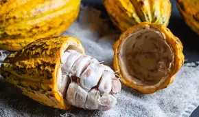 Este es el producto peruano que registró más de US$300 millones en ventas por exportación en el primer trimestre de 2025, según Mincetur