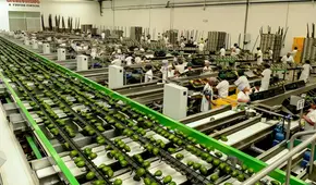 Ley Chlimper 2.0: Congreso busca ahora que agroexportadoras paguen la mitad del impuesto a la renta a plazo indefinido