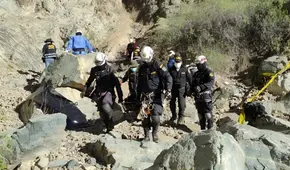 Masacre de 14 mineros en Arequipa: caen presuntos implicados de Los Intis y PNP incauta más de US$110.000