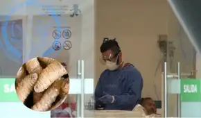 México reporta seis casos confirmados de miasis humana por gusano barrenador: la Secretaría de Salud pide extremar cuidados México reporta seis casos confirmados de miasis humana por gusano barrenador: la Secretaría de Salud pide extremar cuidados