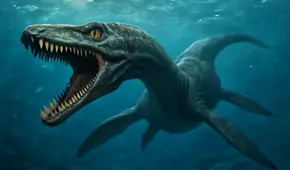 Científicos descubren un descomunal monstruo marino de 12 metros en el noroeste del Pacífico: no se parece a ningún animal conocido