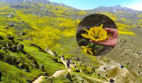 El reverdeciente jardín en las alturas de San Juan de Lurigancho que se convertiría en nuevo Patrimonio Cultural de la Nación