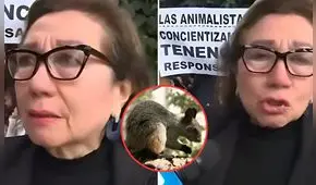 Mujer tras ser multada con S/2.600 por alimentar ardillas en Surquillo: "No les interesa lo que le pasa a los animales"