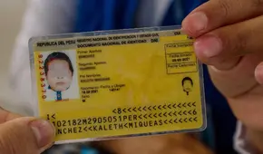 ¿Cómo ver online el DNI amarillo de mi hijo si se perdió y cómo generar su duplicado?