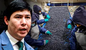 Congreso aprueba Ley Chlimper 2.0 con beneficios tributarios para grandes agroexportadoras