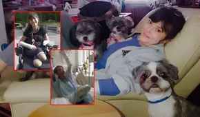 El dramático caso de Christine Caron, la mujer que perdió piernas y brazos por una mordedura accidental de su perro: "No pensé que sería un problema"