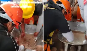 Obreros preparan el verdadero ‘ceviche carretillero’ y causan furor en redes: “100% hierro”